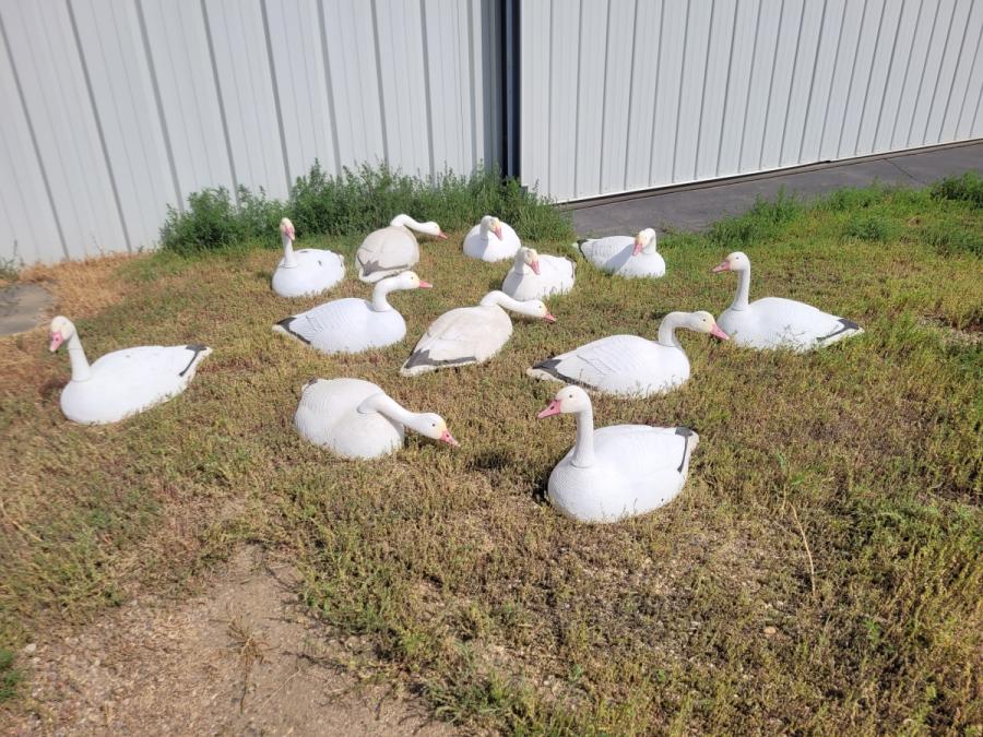 G&H magnum SNOW GEESE DECOYS | GUNPOST